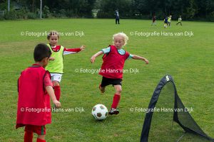 Pancratius zaterdag 17 september de Mini's en Champions Leageu en de tegenstanders ZSGOWMS JO11-2, Sporting Martinus JO11-6, VVC JO10-2, FC Aalsmeer JO8-3, FC Lisse JO13-1, Legmeervogels JO11-5, IJburg AFC JO10-1, Amstelveen JO10-1, Badhoevedorp JO9-3, DIOS JO13-3, Kon. HFC JO12-2 en IJmuiden JO12-1