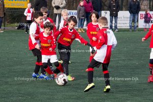 Pancratius zaterdag 17 februari de Mini's en Champions Leageu, JO11-3 - Badhoevedorp sc. JO11-1, JO10-2 - AGB JO10-1, JO10-7 - RKDES JO10-4, JO8-1 - Meern De JO8-1, JO8-4 - PVCV JO8-7, JO8-7 - Velsen Rkvv JO8-1, JO8-8 - DSS JO8-11, JO12-4 - UNO vv JO12-4, JO11-2 - Hertha JO11-1, JO10-6 - FC Aalsmeer JO10-6, JO9-2 - Amstelveen/Heemraad JO9-1, JO9-6 - FC Aalsmeer JO9-5, JO13-1 - Buitenboys sc. JO13-1 en JO13-2 - Nieuw Sloten sv JO13-1