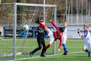 Pancratius zaterdag 7 april de Mini's en Champions Leageu, JO11-3 - Sporting Martinus JO11-4, JO11-6 - UNO vv JO11-5, JO11-7 - FC Aalsmeer JO11-6, JO10-2 - Nieuw West United SV JO10-3, JO10-5 - Alliance '22 sv. JO10-5, JO9-5 - Hoofddorp s.v. JO9-5, JO8-6 - Argon JO8-3, JO8-7 - DEM (RKVV) JO8-4, JO11-1 - Purmersteijn JO11-1, JO11-2 - TOS-Actief JO11-1, JO10-1 - Fortius asv. JO10-1, JO9-3 - Hoofddorp s.v. JO9-3, JO9-7 - RKDES JO9-5, JO9-8 - SDZ JO9-5, JO8-2 - DWS afc JO8-1, JO15-1 - Zaanlandia JO15-1, JO13-2 - Hillegom sv JO13-2, JO12-1 - Overbos sv. JO12-1, JO19-1 - Stormvogels ijvv JO19-1, JO12-3 - Hoofddorp s.v. JO12-4 en MO15-1 - SDZ MO15-1
