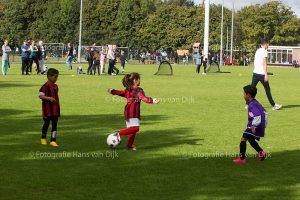 Pancratius zaterdag 15 september de Champions Leageu, en beker JO12-1 - SDW JO12-1, JO12-2 - Badhoevedorp sc. JO12-1, MO13-1 - Argon MO13-1, JO13-2 - Amstelveen/Heemraad JO13-1, MO15-1 - RODA '23 Rksv MO15-1 en MO15-2 - Swift MO15-1
