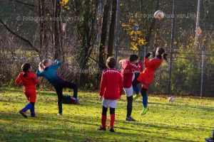 Pancratius zaterdag 30 november de Mini's en Champions Leageu en jeugd wedstijden JO13-4 - FC Aalsmeer JO13-4, JO12-2 - RKAVIC JO12-2, JO11-2 - Diemen sv. JO11-2, JO11-4 - Abcoude fc JO11-1, JO11-6 - RKAVIC JO11-5 , JO9-7 - Ouderkerk sv. JO9-3, JO9-8 - Amstelveen/Heemraad JO9-5, JO9-9 - RODA '23 Rksv JO9-8, JO8-2 - Onze Gezellen JO8-3, JO9-2 - Nieuw West United SV JO9-2, JO9-3 - vv Zwanenburg JO9-1, JO8-1 - RODA '23 Rksv JO8-1, JO8-3 - Zeeburgia avv JO8-4, JO13-5 - VVC fc JO13-3, JO12-5 - vv Zwanenburg JO12-3, JO11-1 - DCG Rksv JO11-1, JO11-5 - RODA '23 Rksv JO11-3, JO11-10 - Olympia Haarlem JO11-3M, JO10-1 - Overbos sv. JO10-1, JO10-3 - Koninklijke HFC JO10-7, JO10-7 - DSOV JO10-4, JO10-8 - Sporting Martinus JO10-10 en JO13-3 - Olympia Haarlem JO13-1 